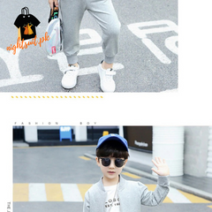 Grey Stripe Kids Tracksuit