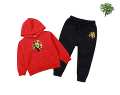Lion Printed Kids Hoodie Set